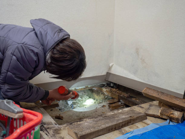 Best Airborne Mold Testing  in Poplarville, MS