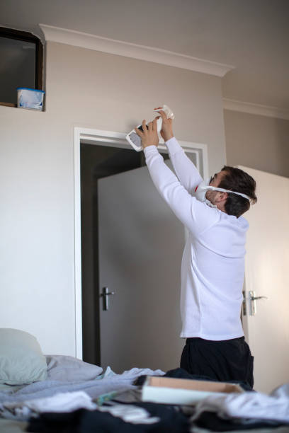 Best Attic Mold Removal  in Poplarville, MS