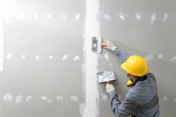 Best Crawl Space Mold Remediation  in Poplarville, MS
