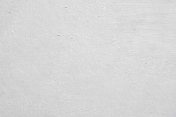 Poplarville, MS Mold Removal Company