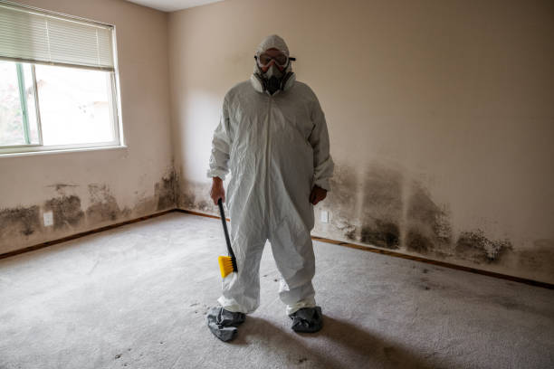 Best Biohazard Mold Removal  in Poplarville, MS