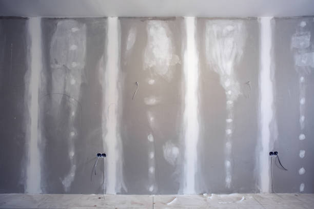 Best Crawl Space Mold Remediation  in Poplarville, MS